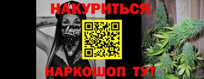 индика Пенза