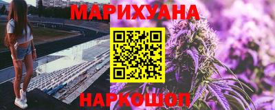 индика Пенза