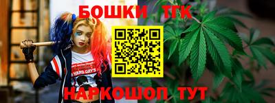 индика Пенза