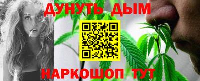 индика Пенза